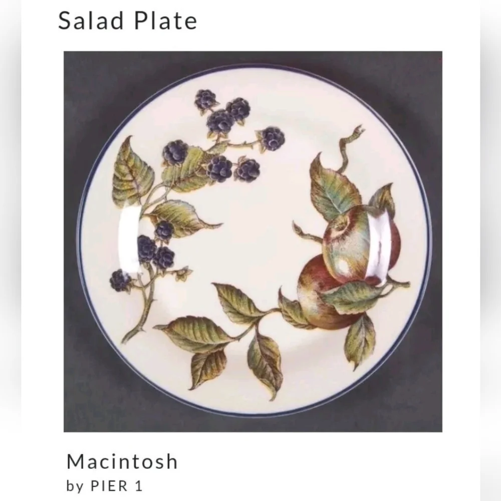 4 Pier 1 MACINTOSH Salad Plates